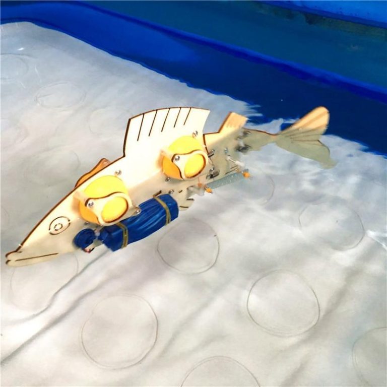 DIY Bionics Electric Mechanical Fish Kit DIY Kit 123